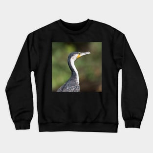 Cormorant Crewneck Sweatshirt